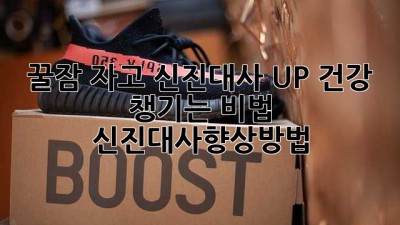 😴꿀잠 자고 🔥신진대사 UP! 건강 챙기는 비법 #신진대사향상방법