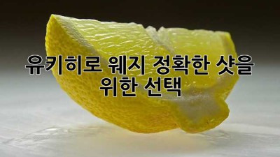 유키히로 웨지: 정확한 샷을 위한 선택