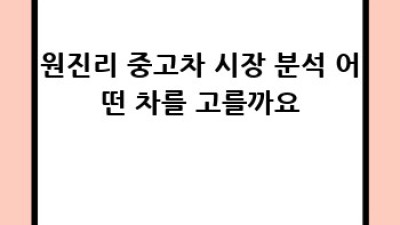 해남군 삼산면 원진리 중고차: 최고의 선택은?